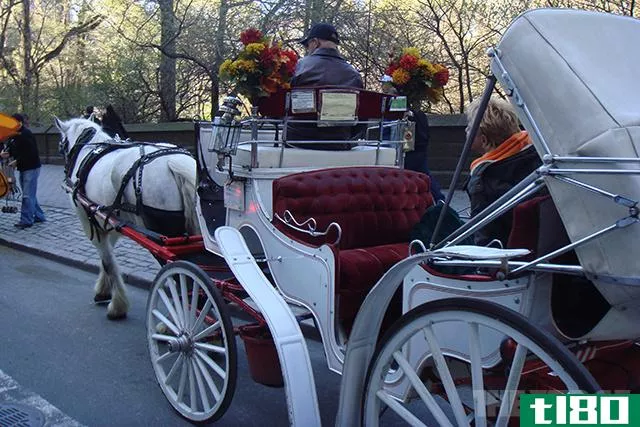 纽约市可能会用复古风格的电动车取代标志性的马车