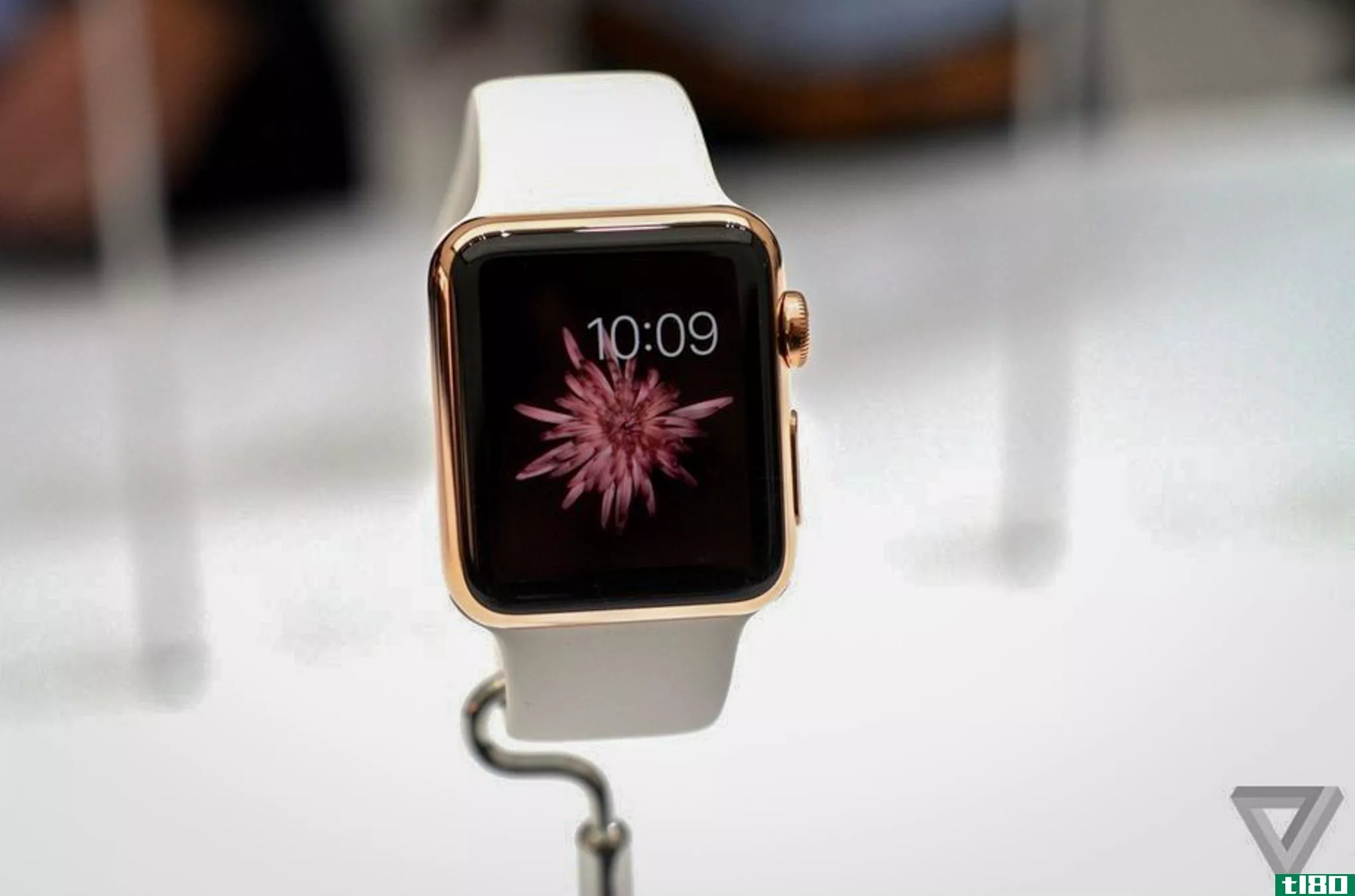 金苹果手表版起价为1万美元