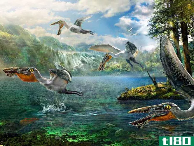 科学家们以“阿凡达”中的生物命名新恐龙