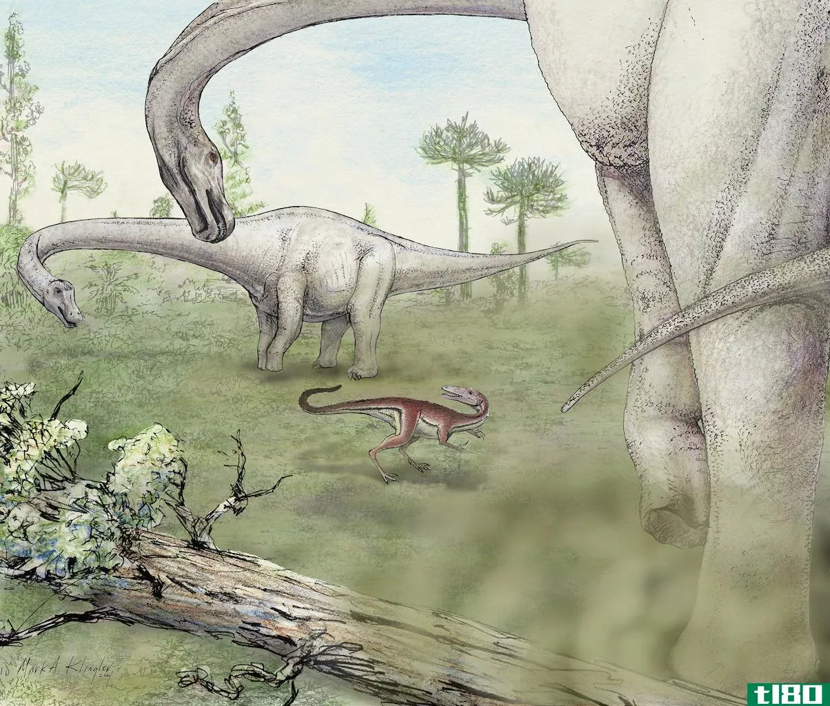 巨大的新恐龙被发现并命名为“无所畏惧”