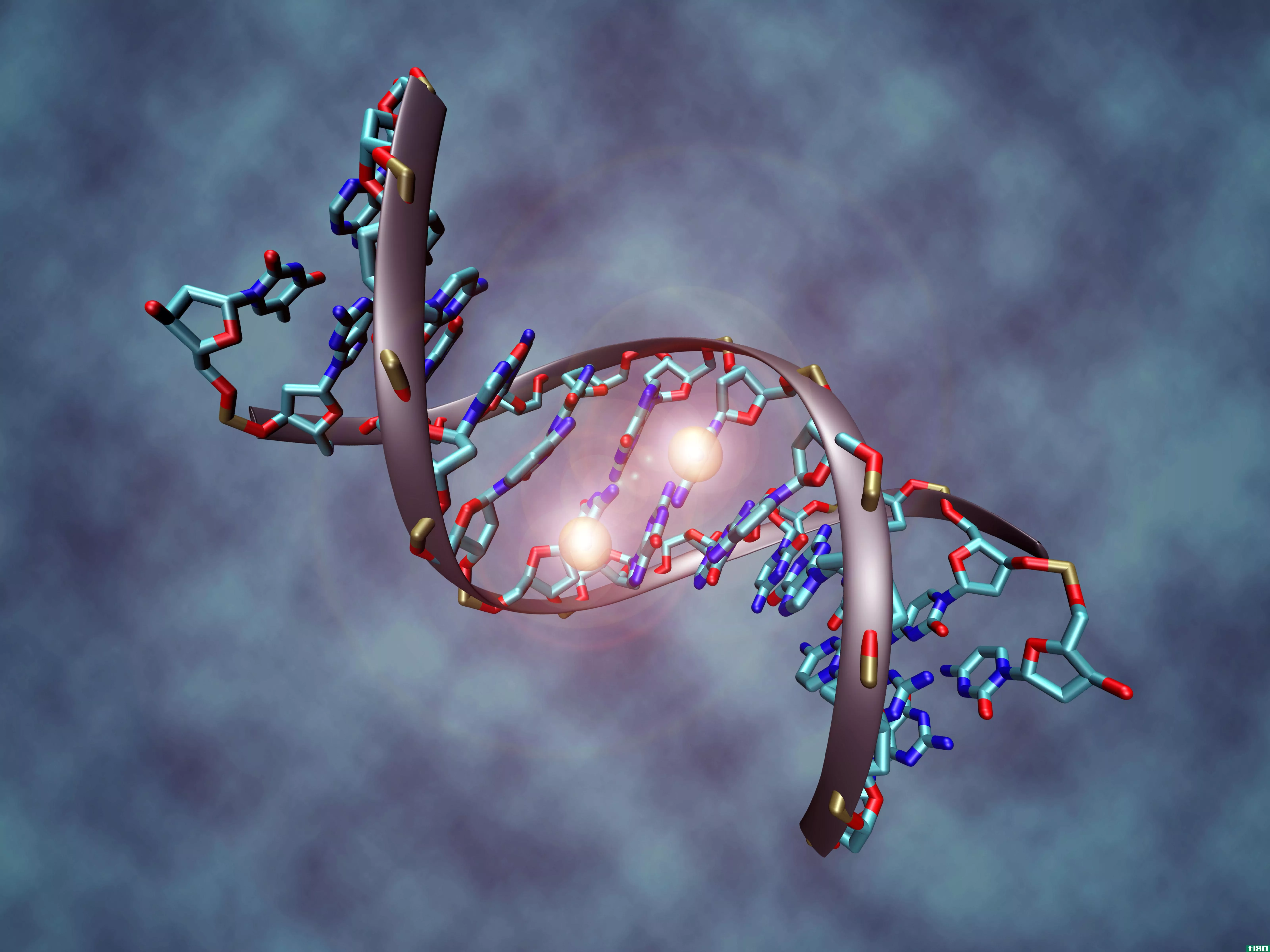 新的人类基因图谱包含了老年痴呆症和癌症的线索