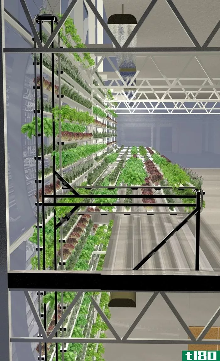 垂直农场可以在停车场边上生产44000磅西红柿