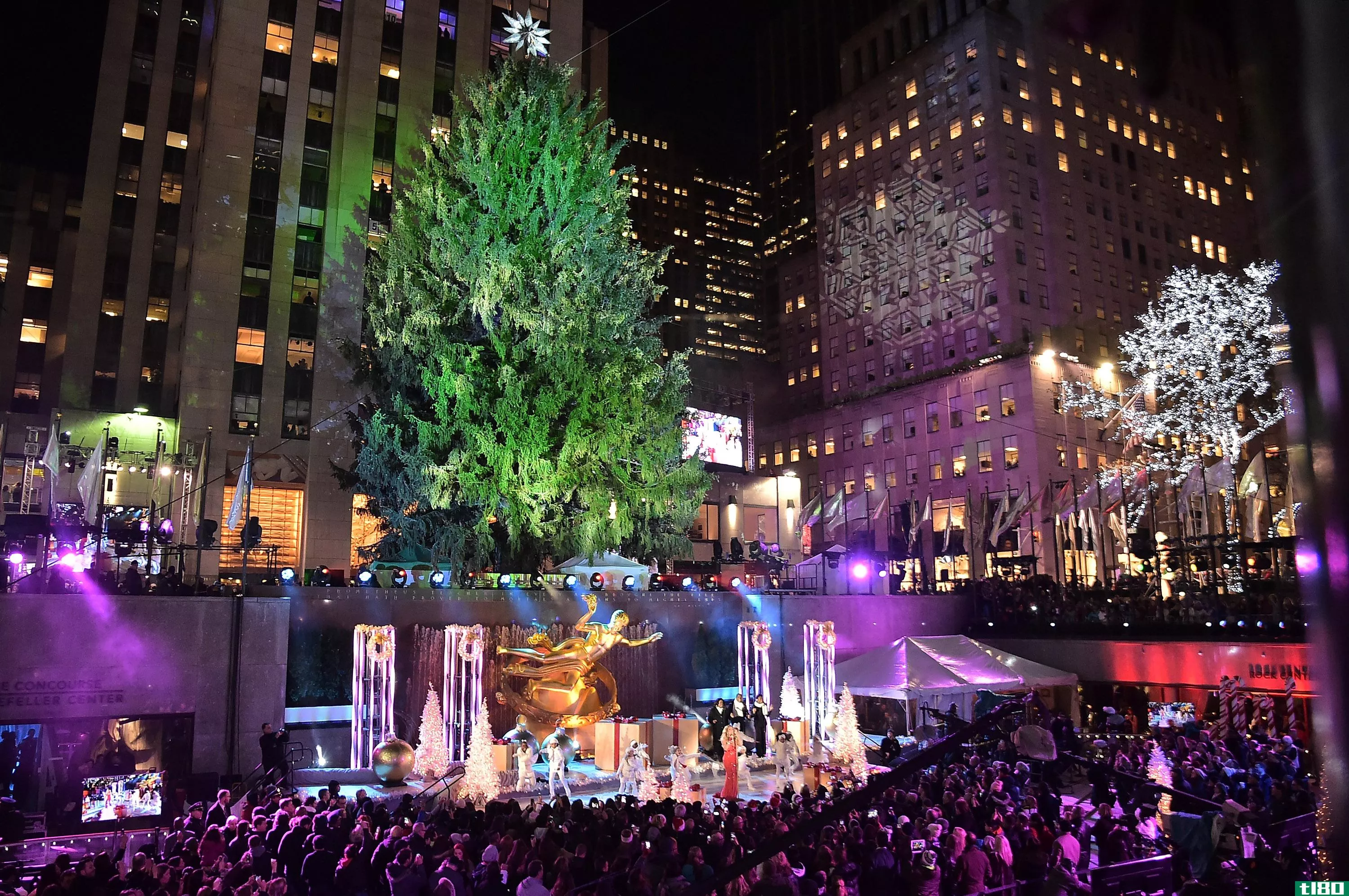 今晚纽约警察局选择了lady gaga和圣诞树而不是民主
