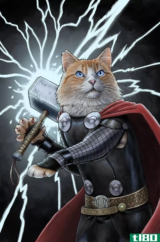 这里有猫打扮成奇迹超级英雄，因为全国猫日是一个真实的事情