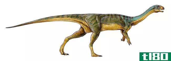 这种动物很奇怪，研究人员称它为“恐龙的鸭嘴兽”