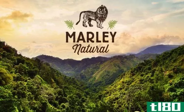 鲍勃·马利（bob marley）品牌的weed正在帮助pot初创公司打破融资记录