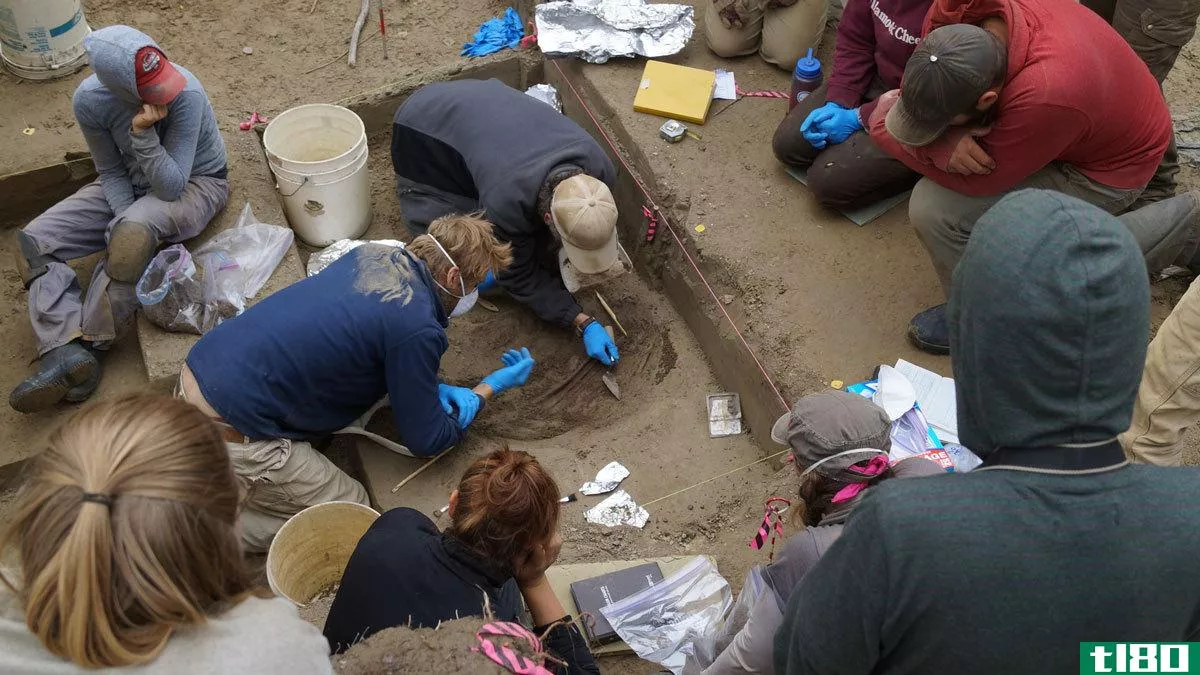阿拉斯加发现11500年前的胎儿和婴儿坟墓