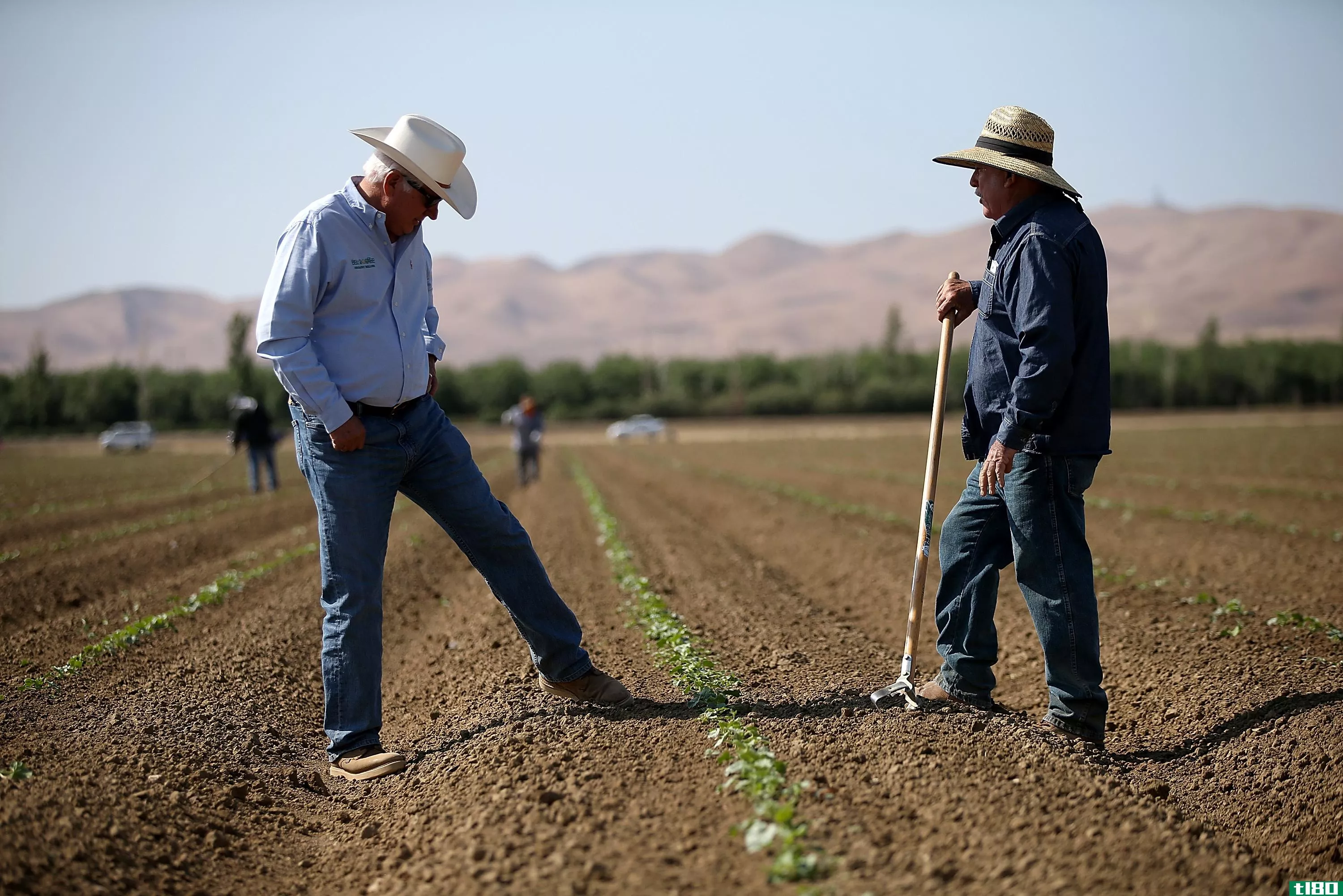 一些加州农民将面临1977年以来的首次用水限制