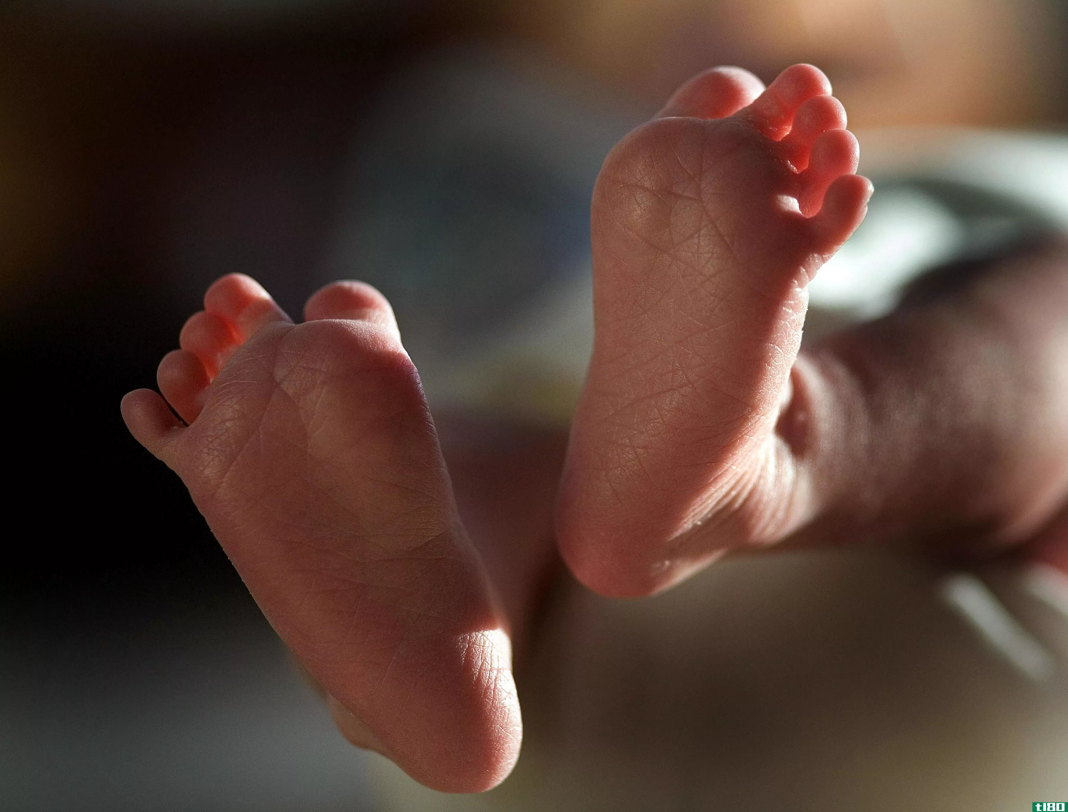 自2012年以来，美国的婴儿死亡率没有明显下降