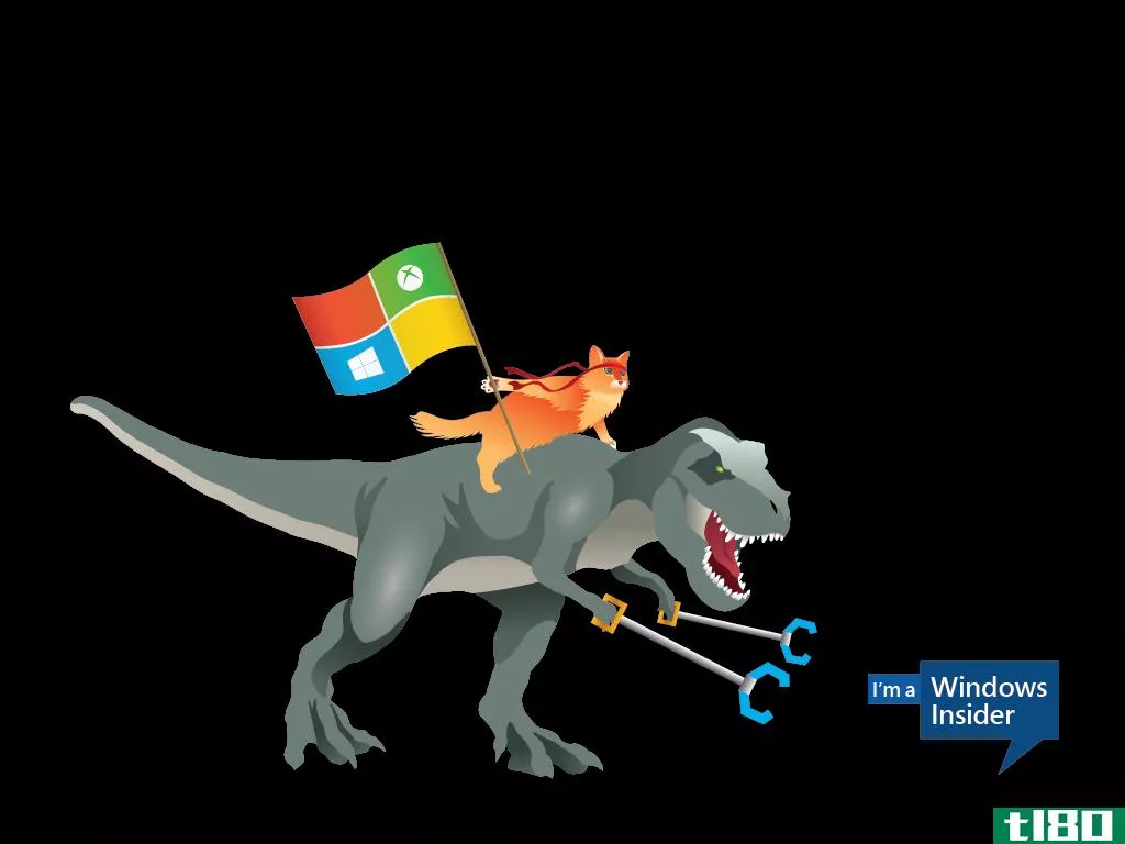 微软的windows忍者猫现在在skype上骑着霸王龙