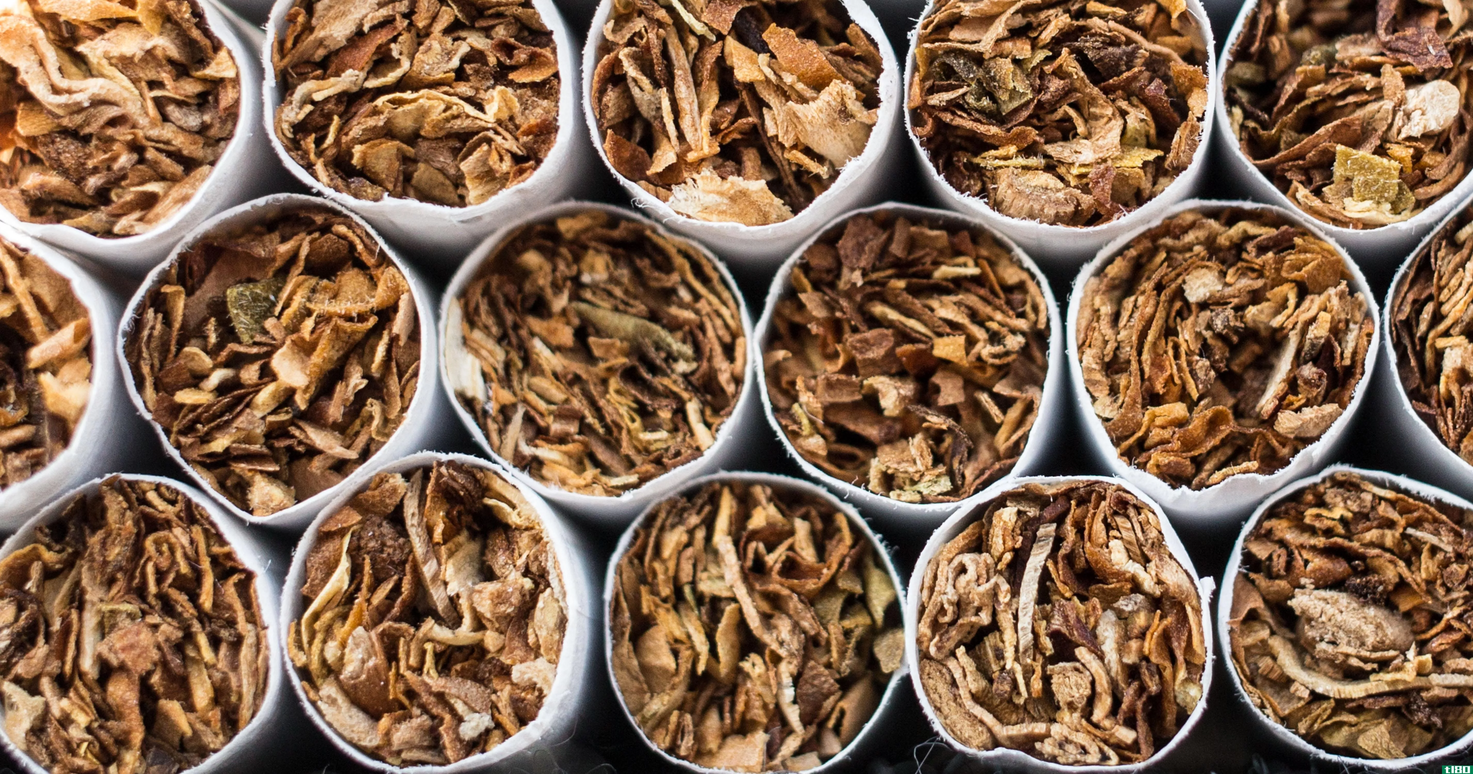 美国最大的贸易集团正在海外反对禁烟法