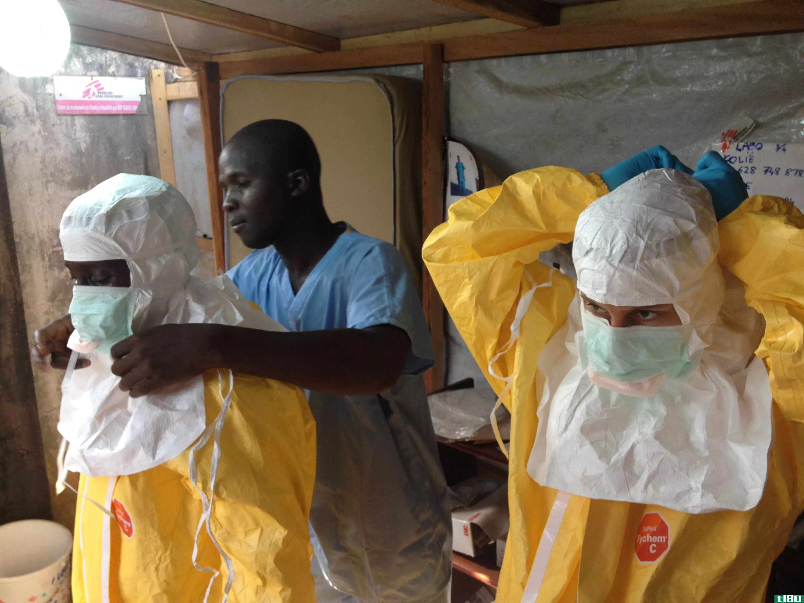 世界卫生组织说，利比里亚埃博拉疫情已经结束