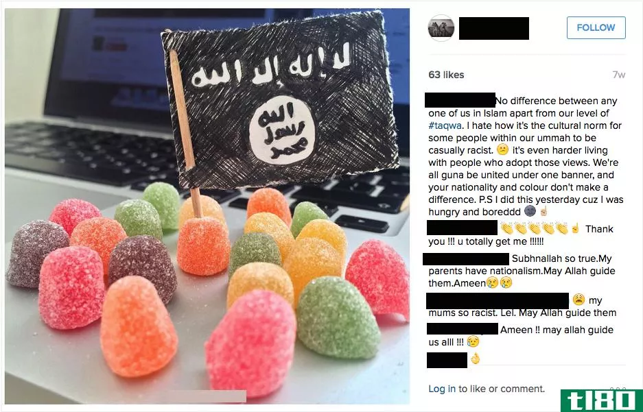过滤极端主义：伊斯兰国支持者如何使用instagram
