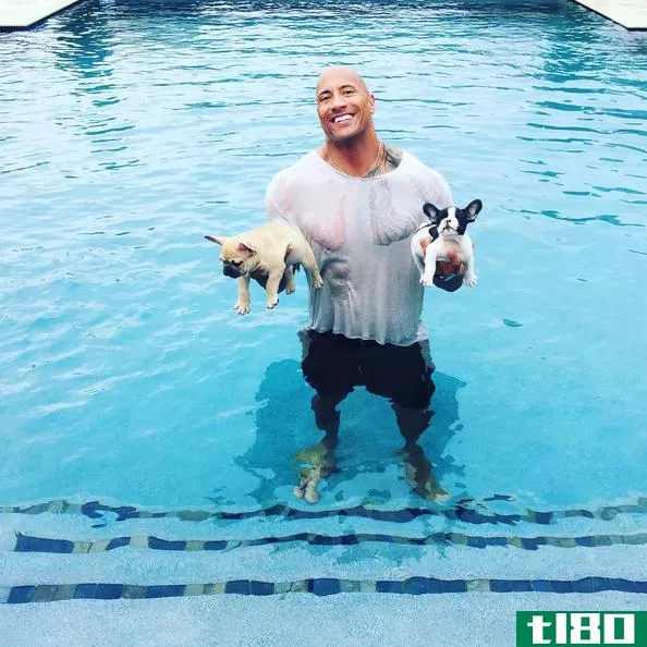 德韦恩“摇滚”约翰逊穿着湿t恤抱着两只小狗