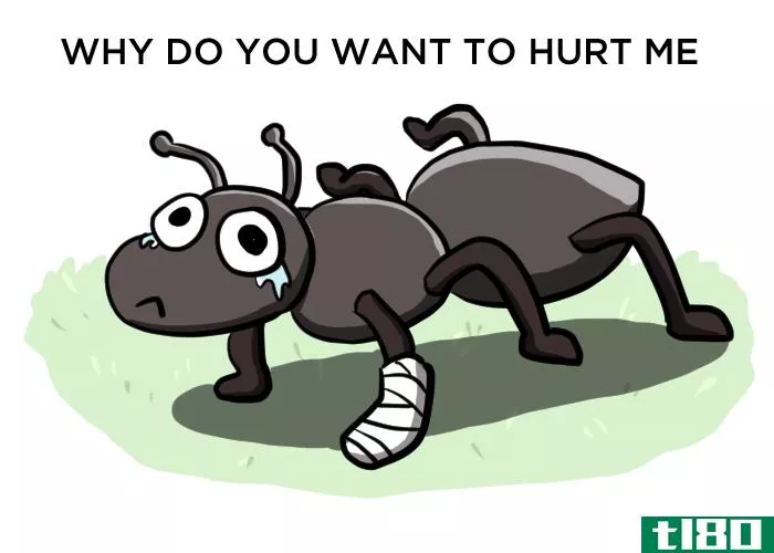 如果你从帝国大厦顶上扔下一只蚂蚁，它会死吗？