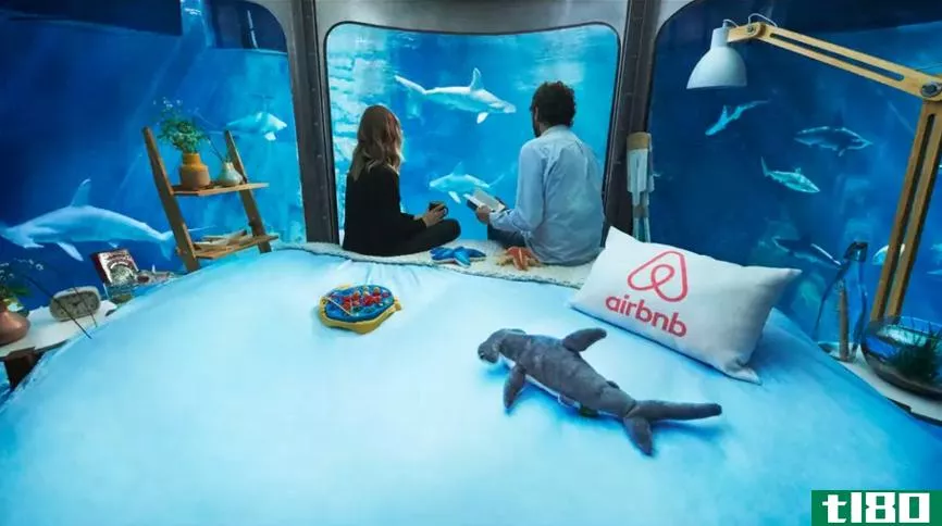 airbnb将让两个人睡在35条鲨鱼环绕的水下卧室里