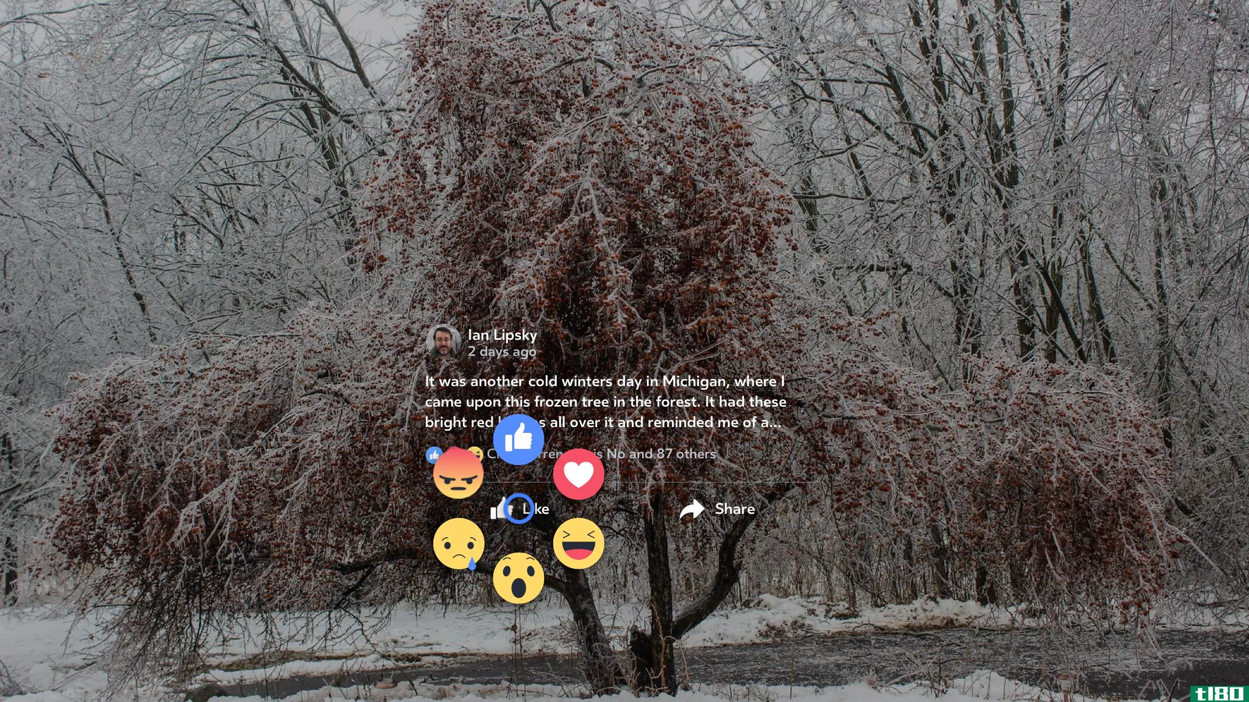 facebook现在可以让你在虚拟现实中“喜欢”360度视频