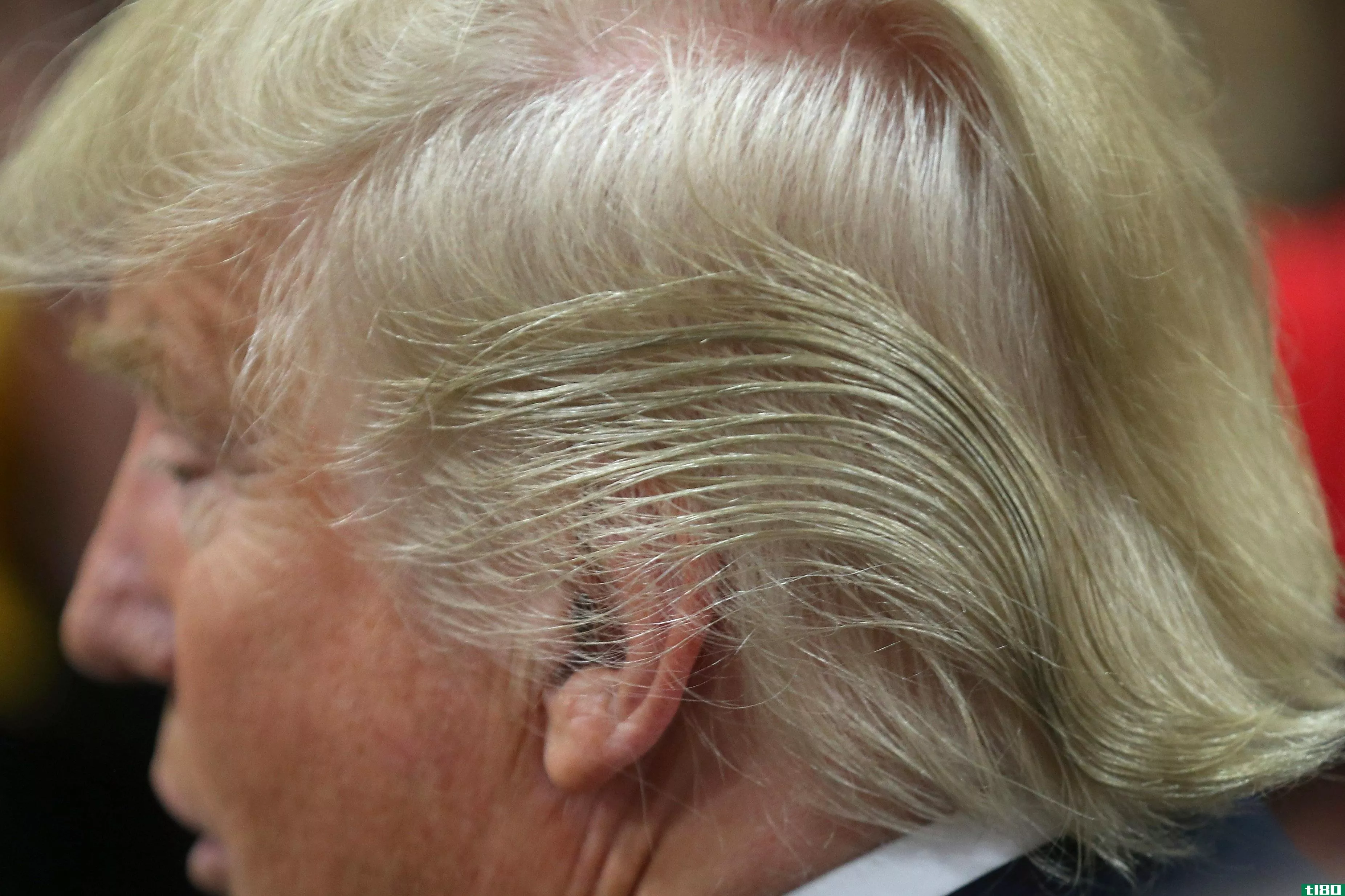 报道唐纳德·特朗普的头发可能会让你被起诉