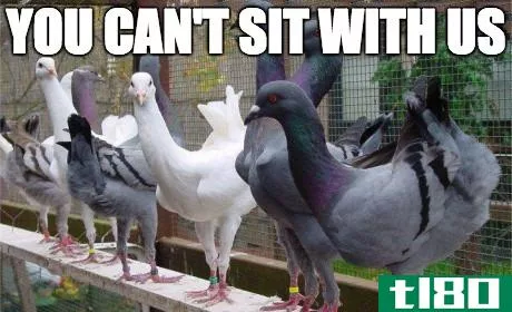 pigeon meme