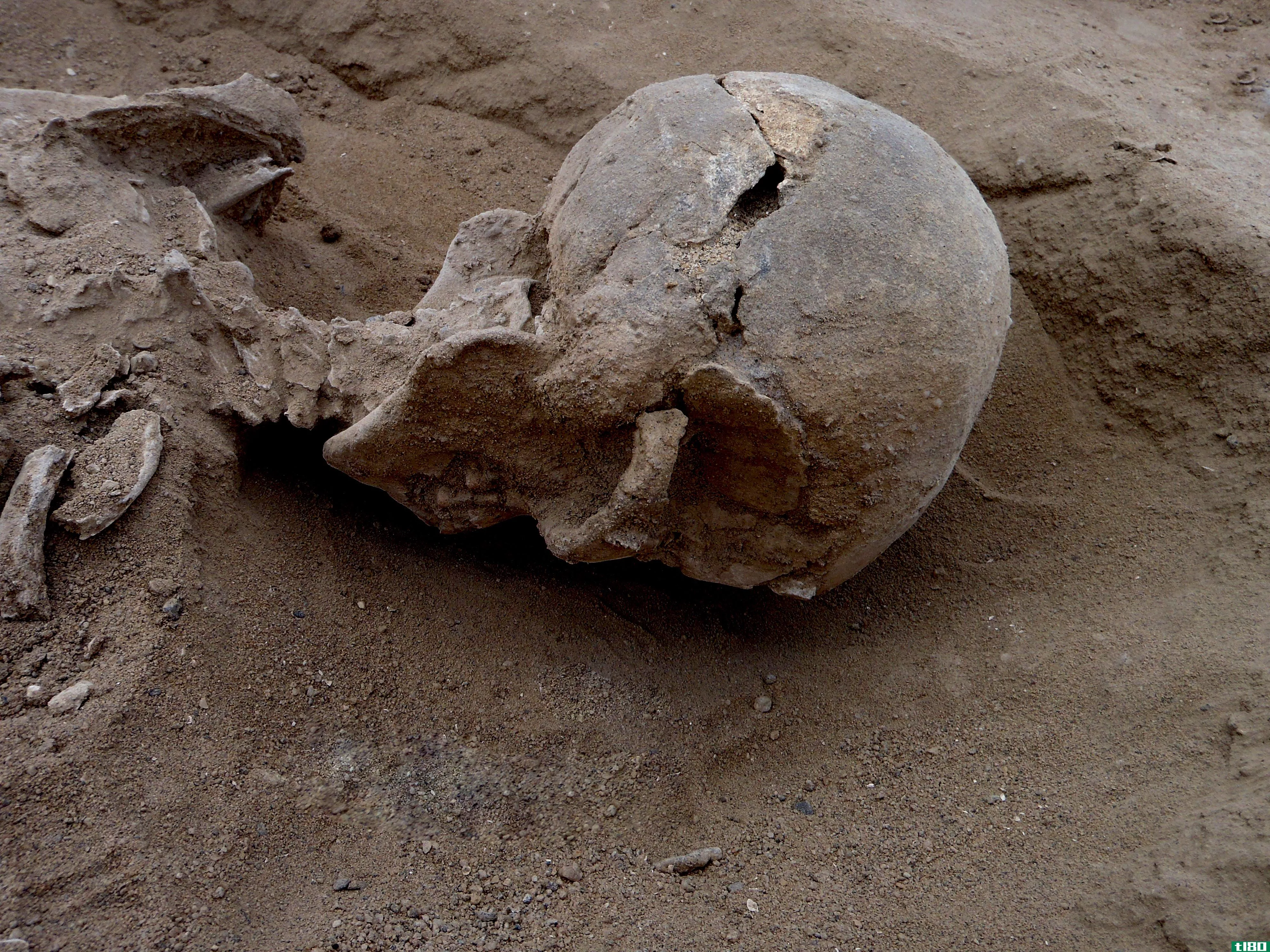 1万年前大屠杀的遗骸让考古学家们自作主张