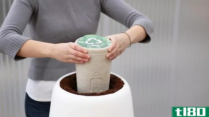 这个连接的罐子将用你所爱的人的骨灰来种一棵树