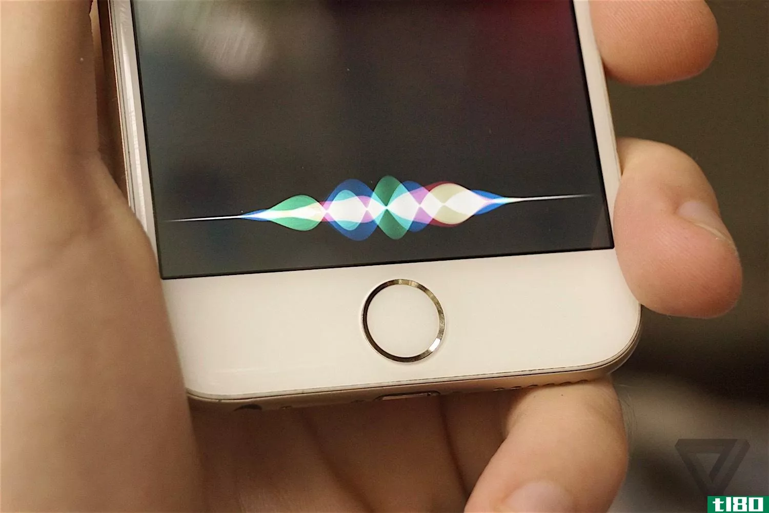 据报道，苹果正在打造一款siri扬声器，与亚马逊的echo抗衡
