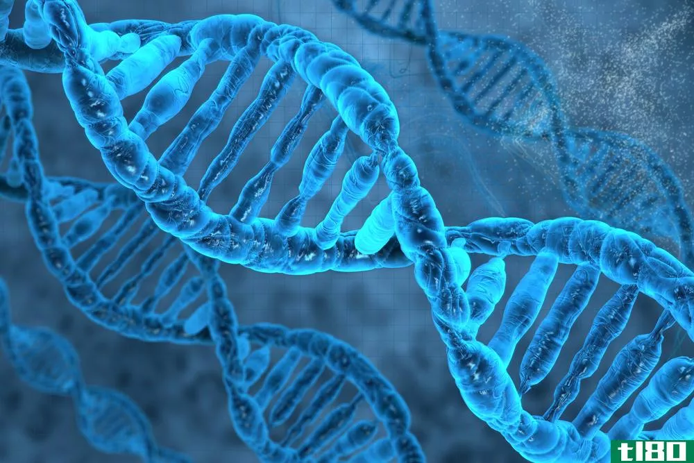 英国监管机构允许人类胚胎的基因编辑