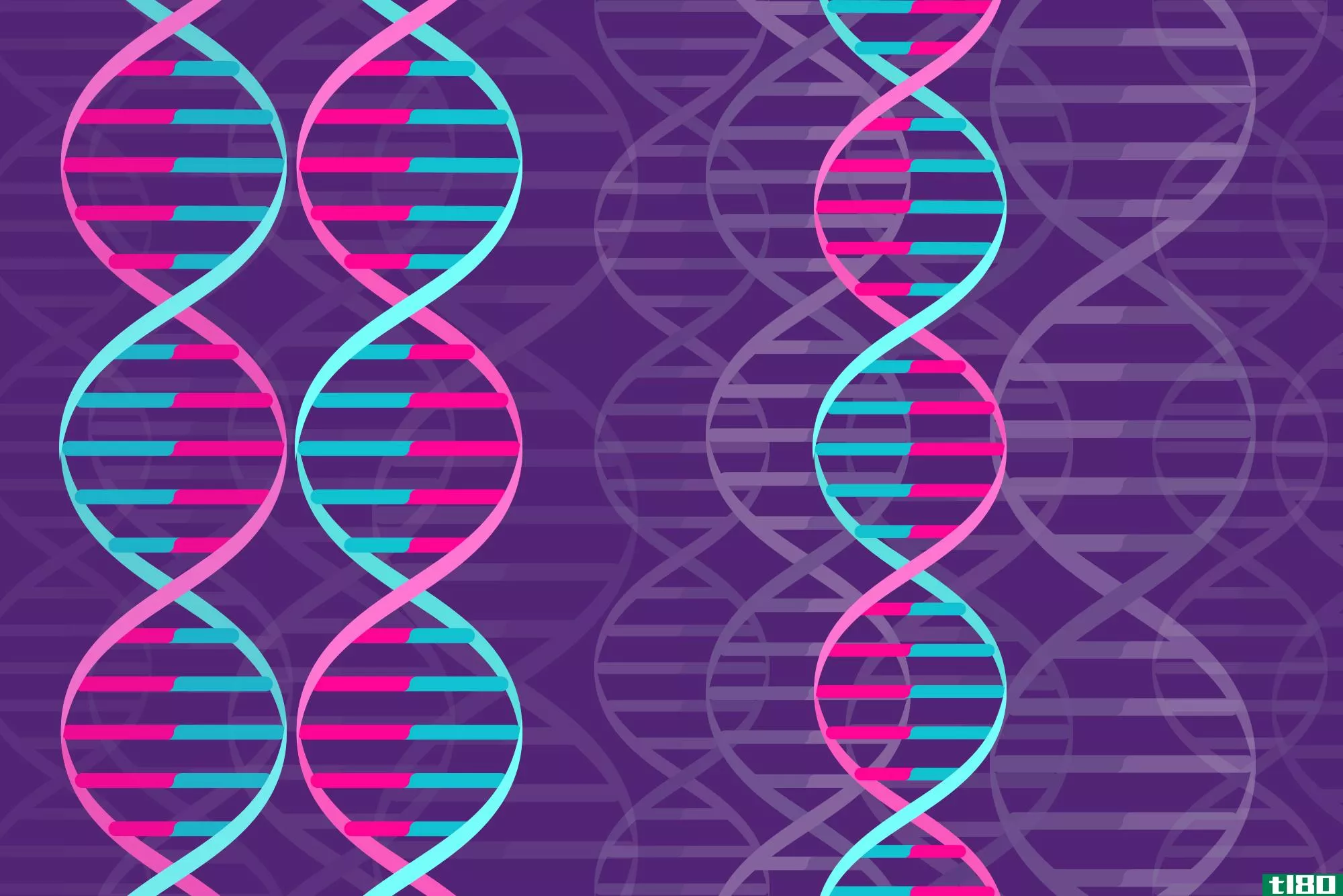 科学家如何为人类的基因蓝图申请专利