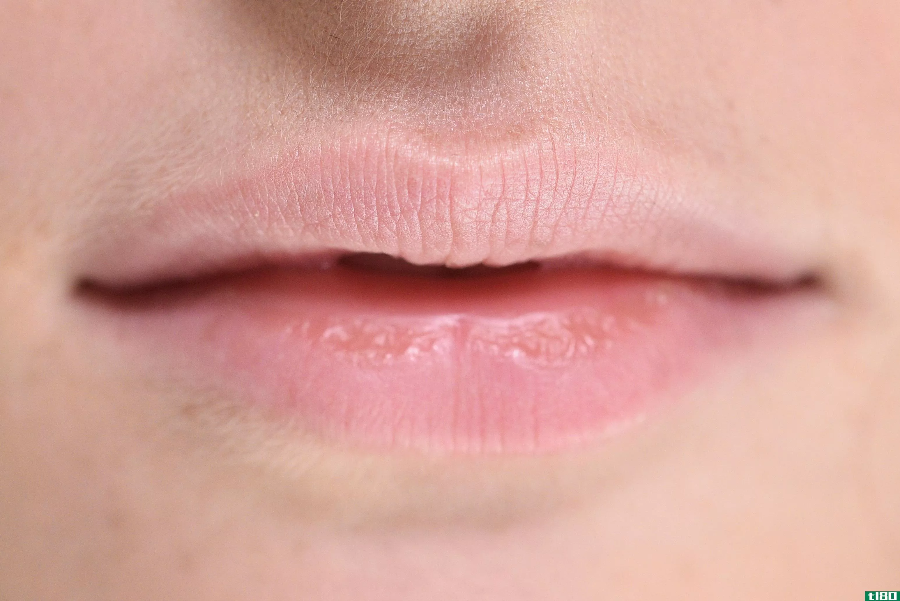 深度学习能帮助解决唇读吗？
