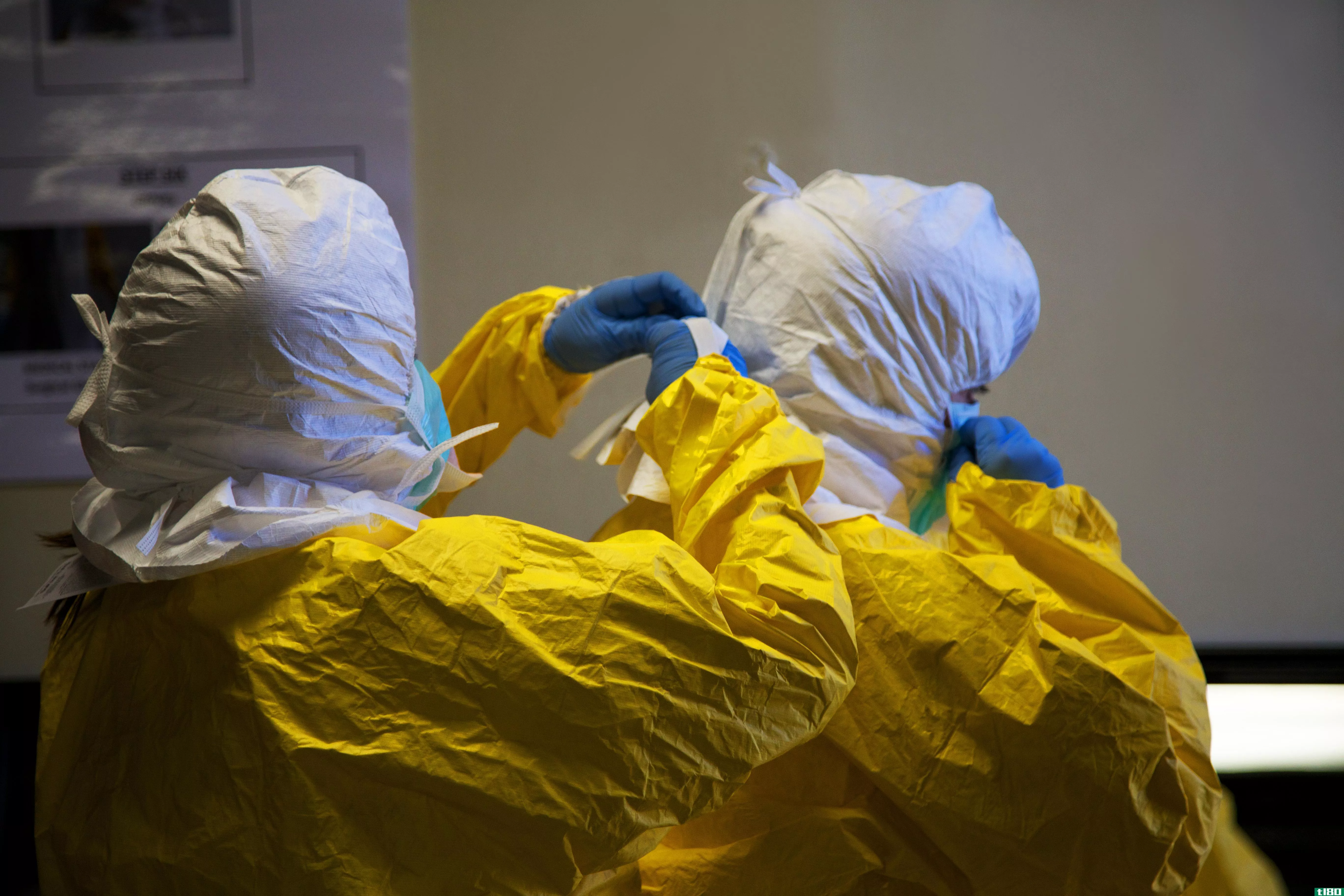 埃博拉病毒的突变使得西非的疫情更加致命