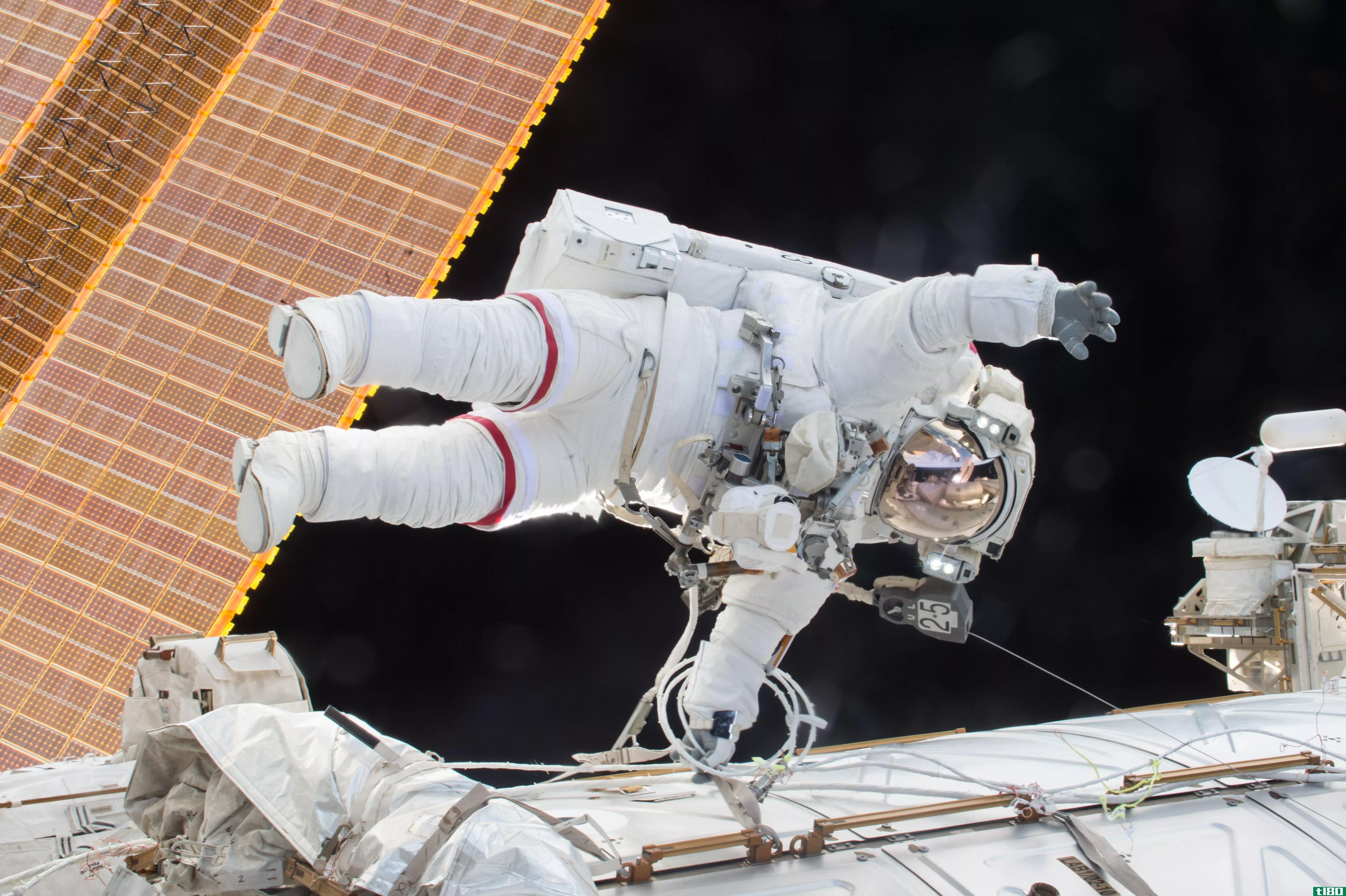 宇航员长时间呆在太空后，脊椎肌肉会收缩和衰弱
