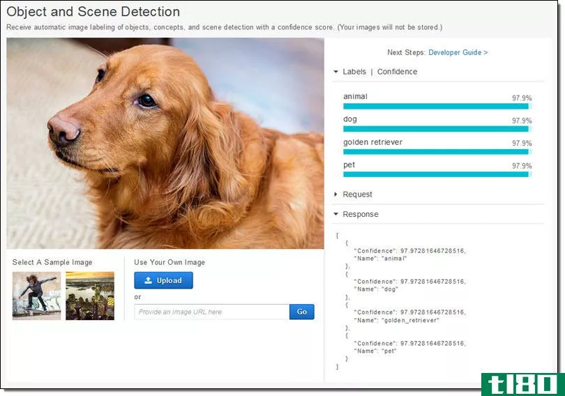 亚马逊的图像识别人工智能可以识别你的狗到它的品种