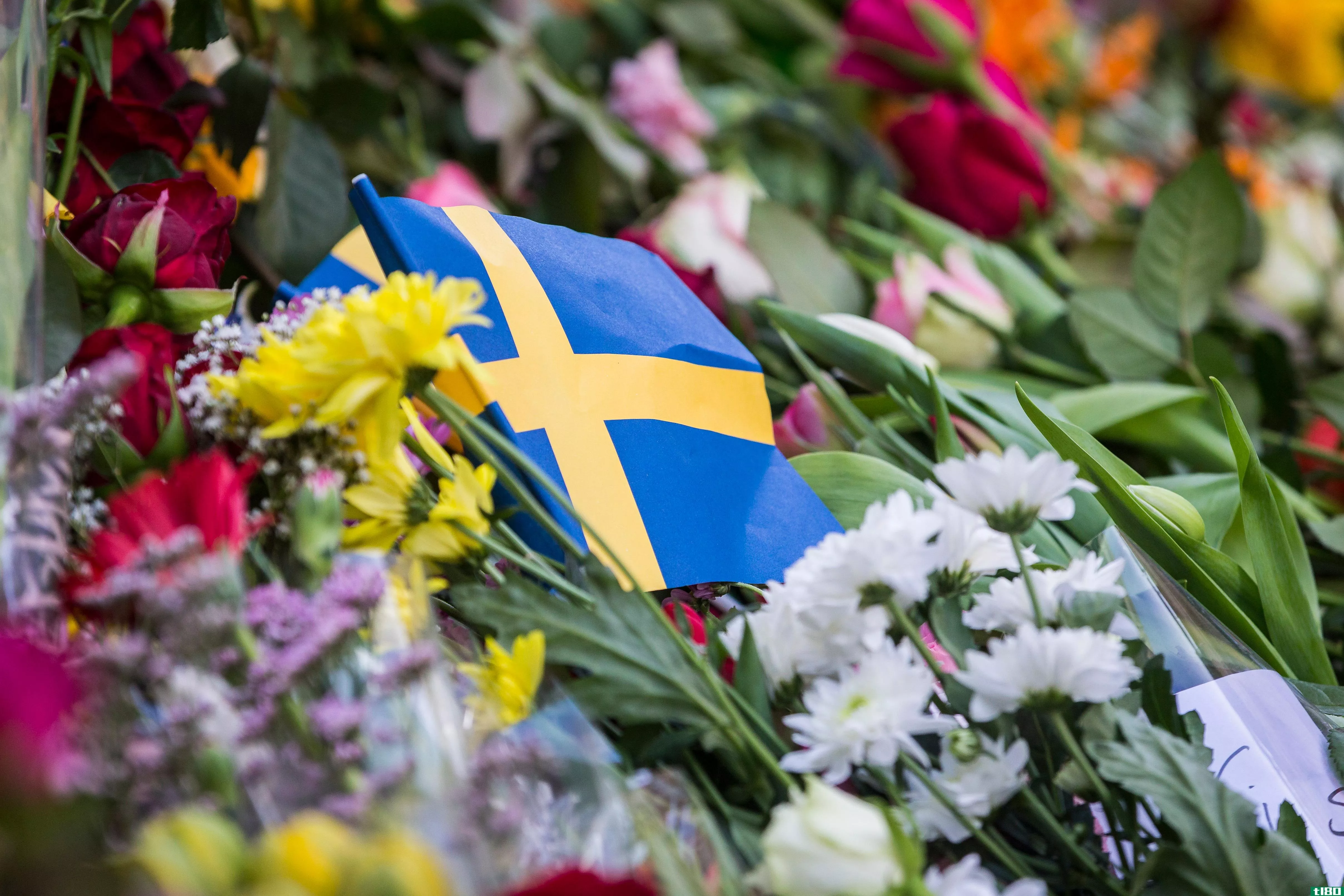 spotify高管在斯德哥尔摩卡车袭击事件中丧生
