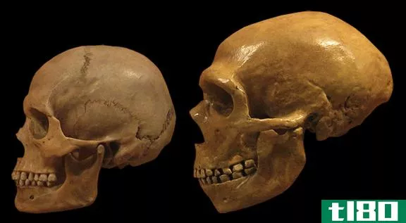 在冰河时代的洞穴中发现的古代人类dna——即使骨头不见了