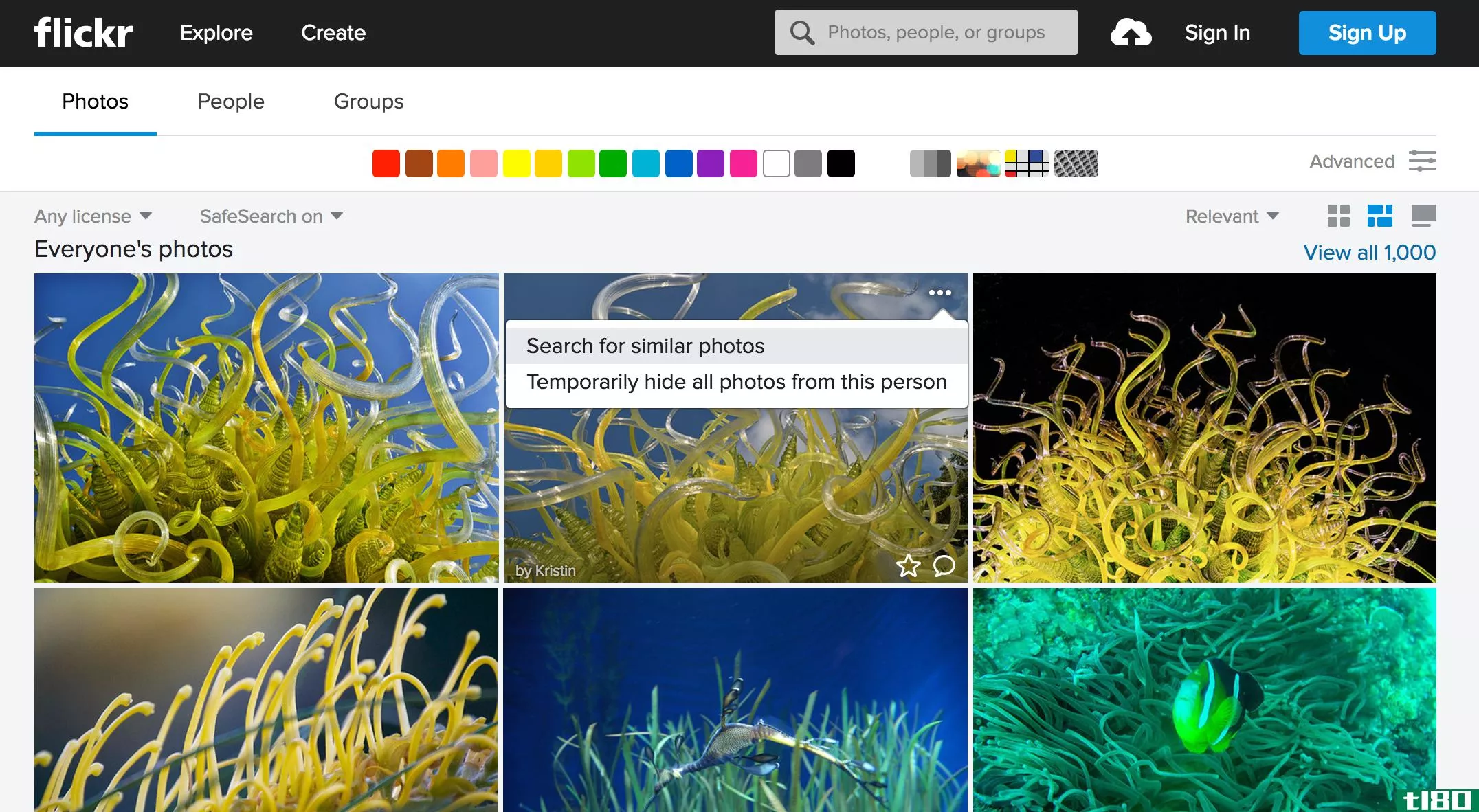 flickr现在允许您基于视觉相似性搜索图像