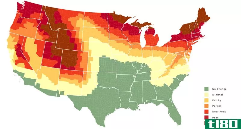 Illustration for article titled Use the Fall Foliage Prediction Map to Plan Your Autumnal Trips Now