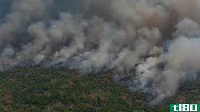 是什么导致了亚马逊雨林火灾？
