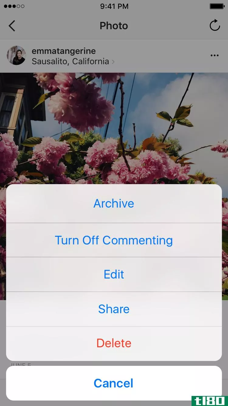 Instagram archive option