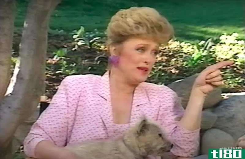 Illustration for article titled Learn Pet Care From Rue McClanahan in These Instructional Videos from 1990