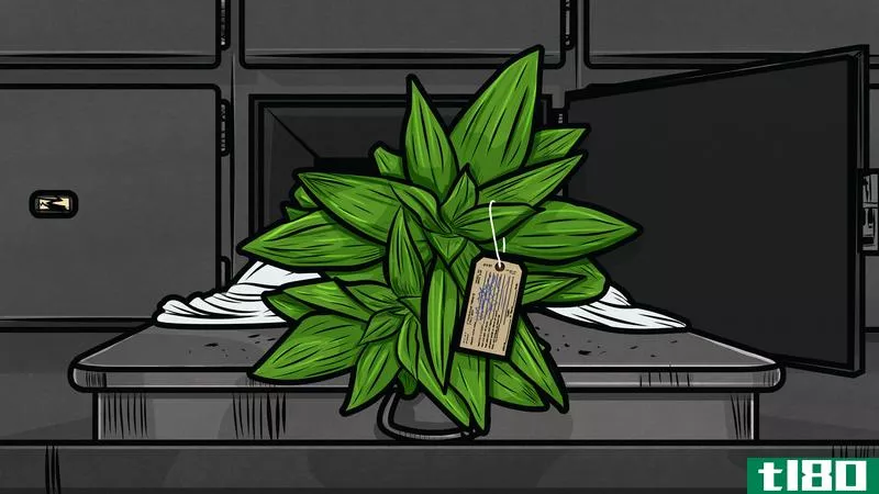 Illustration for article titled How to Tell If Your Plant Is Dead or Just Dormant