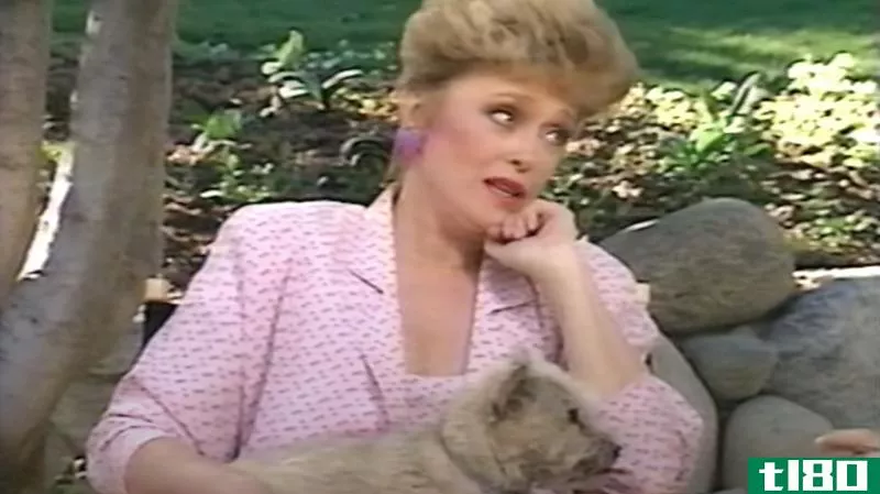 Illustration for article titled Learn Pet Care From Rue McClanahan in These Instructional Videos from 1990