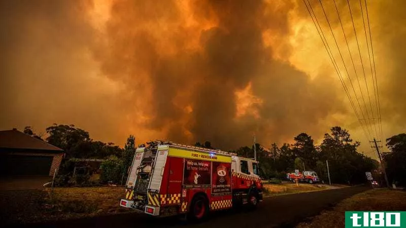 如何帮助那些受澳大利亚野火影响的人