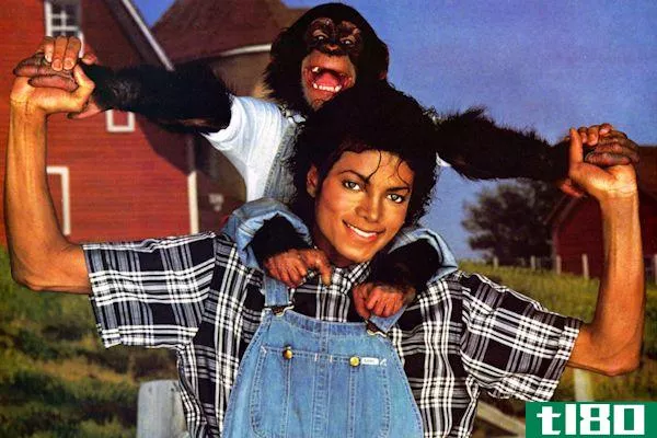 netflix购买了关于迈克尔杰克逊的宠物黑猩猩的动画电影