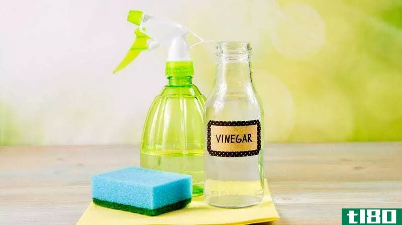 Illustration for article titled What to Never Clean With Vinegar