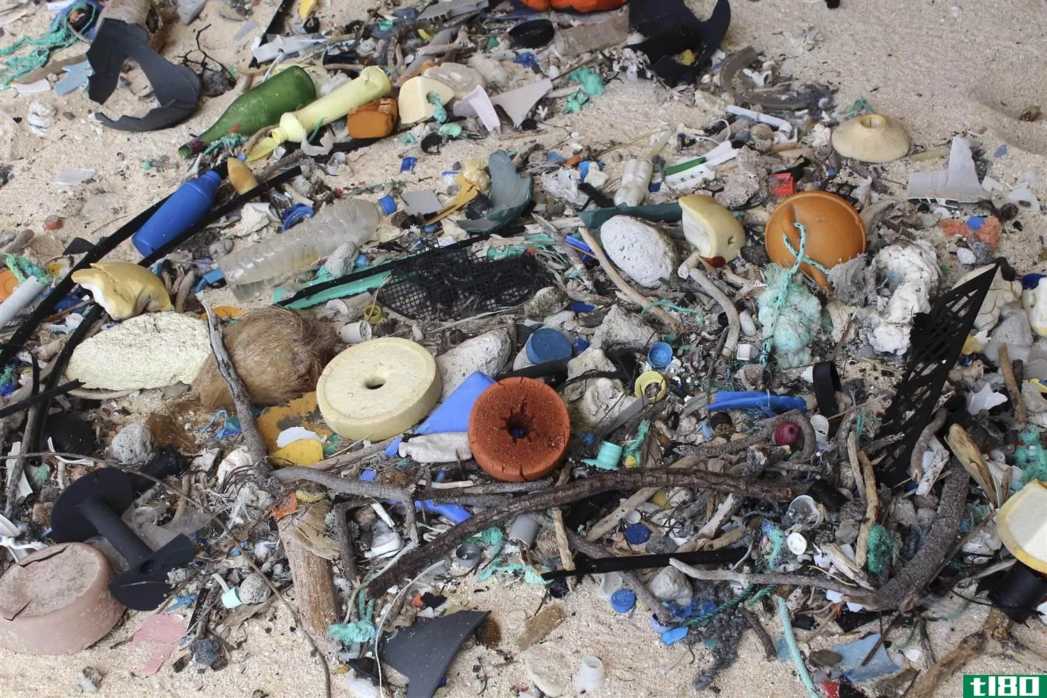 这个太平洋岛屿被3800万件垃圾覆盖——大部分是塑料