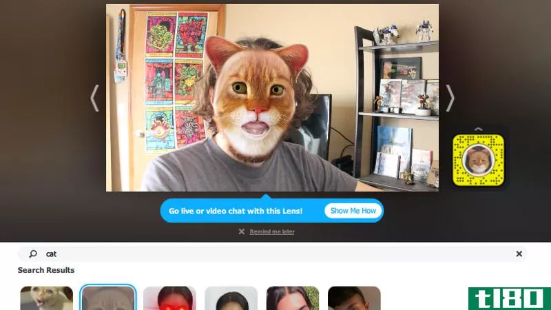 Illustration for article titled How to Turn Yourself Into a Cat (In a Video Call)