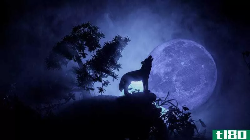 如何观看今晚的狼月