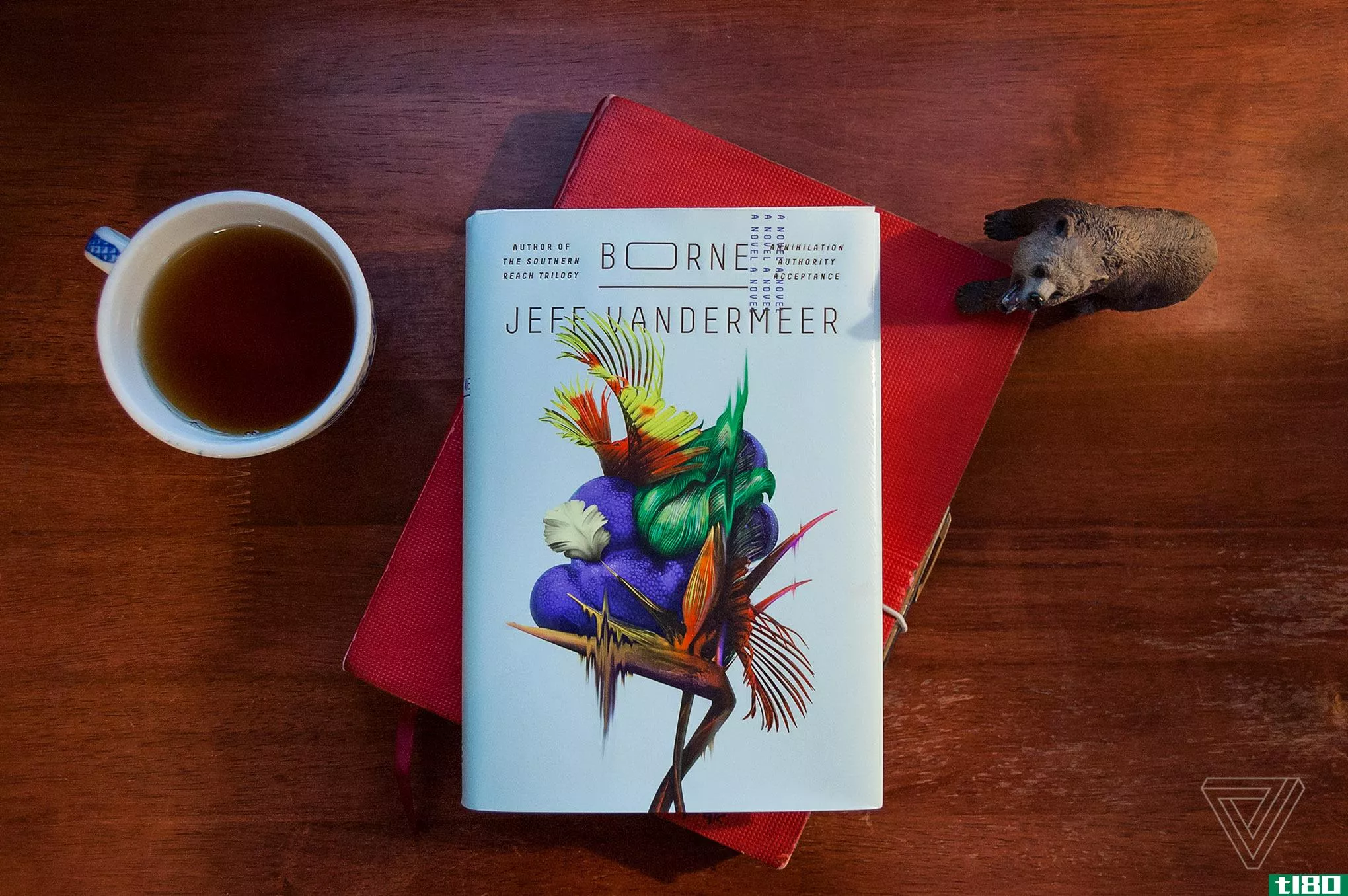 杰夫·范德米尔的新小说《熊》是关于智能生物技术和飞行熊的