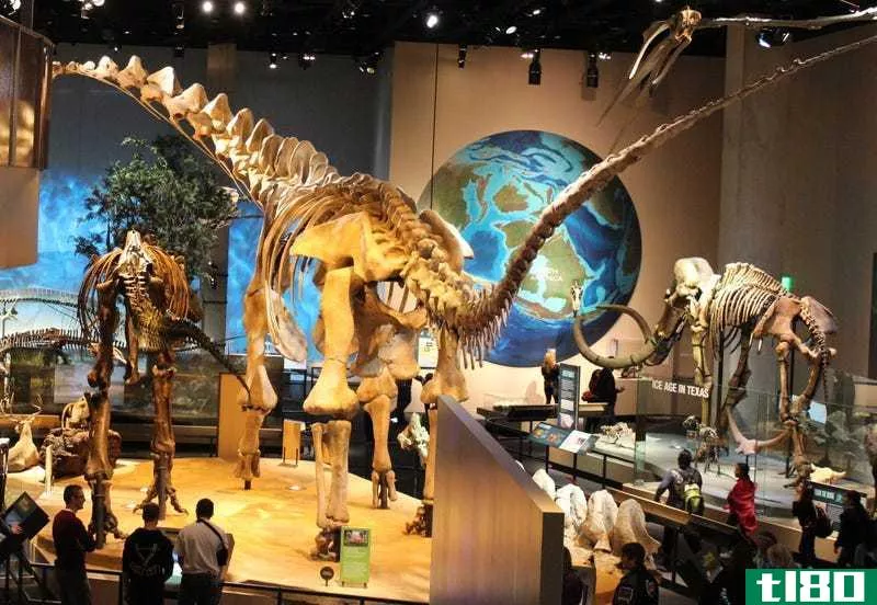 Dinosaur skelet*** in the Perot Museum