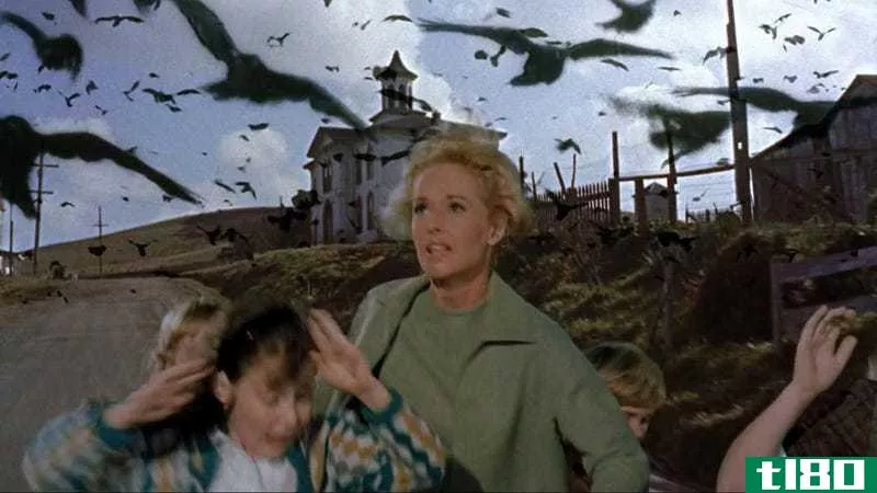 “I hardly think a few birds are going to bring about the end of the world.”